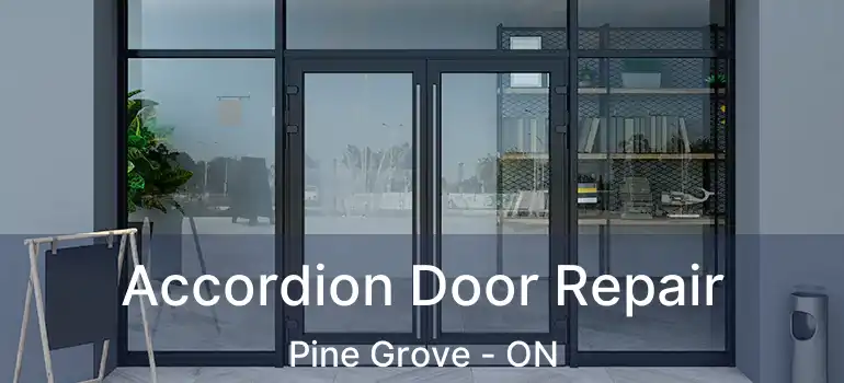 Accordion Door Repair Pine Grove - ON