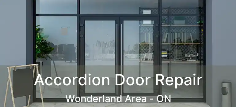 Accordion Door Repair Wonderland Area - ON