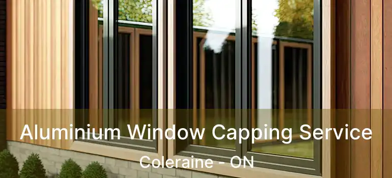 Aluminium Window Capping Service Coleraine - ON