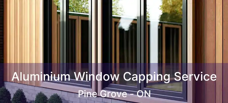  Aluminium Window Capping Service Pine Grove - ON