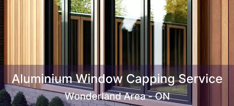 Aluminium Window Capping Service Wonderland Area - ON