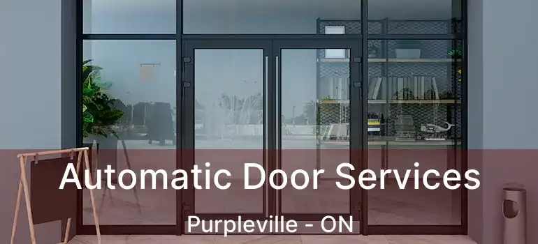  Automatic Door Services Purpleville - ON
