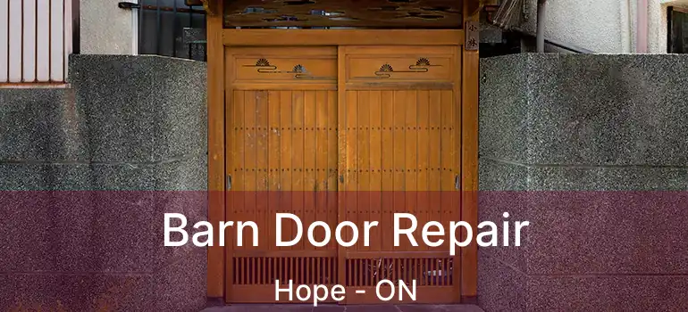 Barn Door Repair Hope - ON
