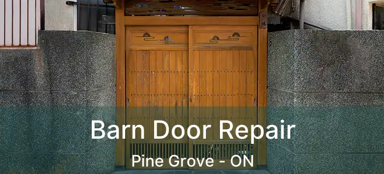 Barn Door Repair Pine Grove - ON