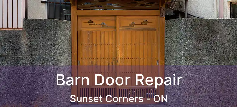 Barn Door Repair Sunset Corners - ON