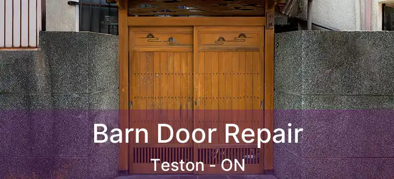  Barn Door Repair Teston - ON