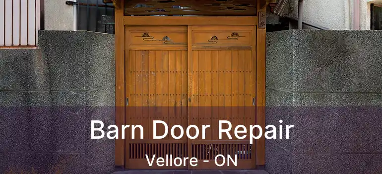 Barn Door Repair Vellore - ON