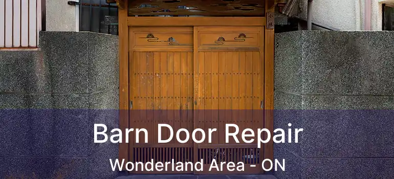 Barn Door Repair Wonderland Area - ON