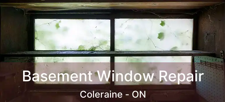  Basement Window Repair Coleraine - ON