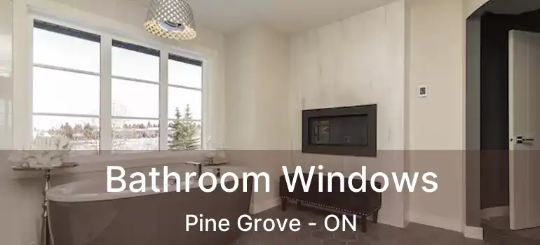  Bathroom Windows Pine Grove - ON