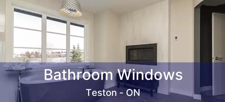  Bathroom Windows Teston - ON