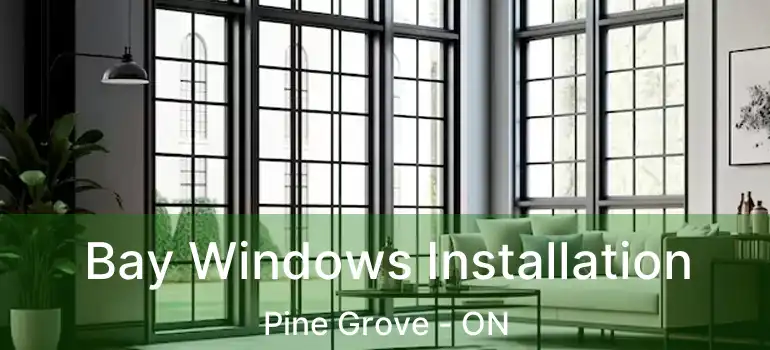  Bay Windows Installation Pine Grove - ON