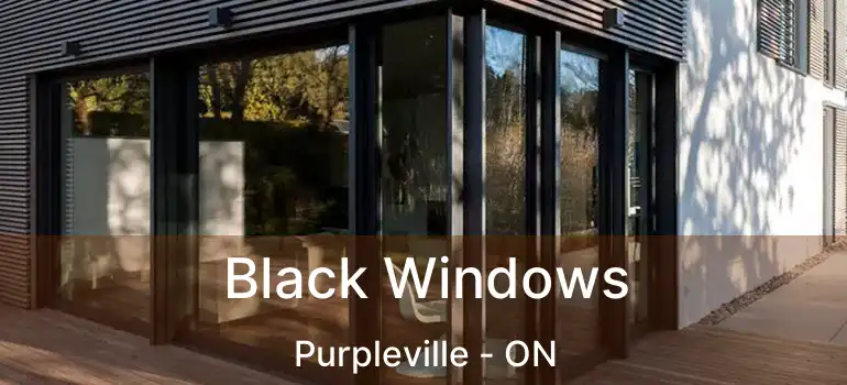 Black Windows Purpleville - ON