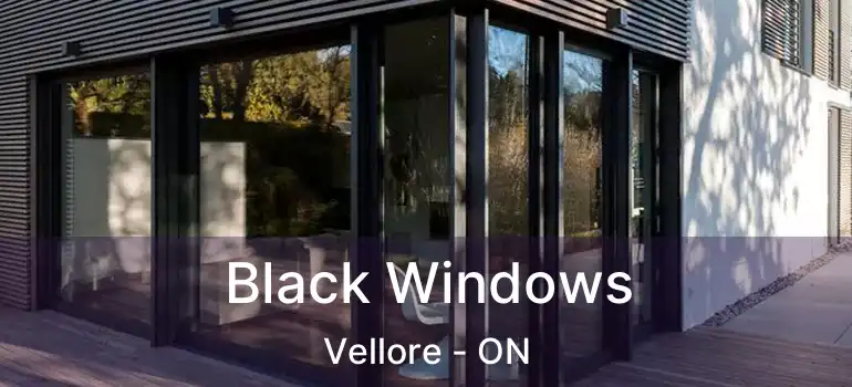  Black Windows Vellore - ON