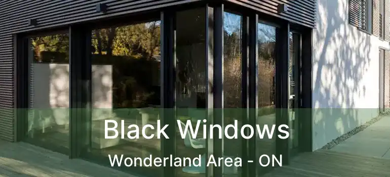  Black Windows Wonderland Area - ON