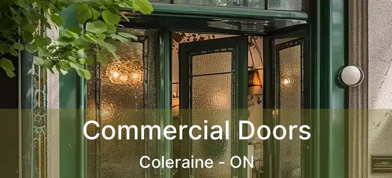  Commercial Doors Coleraine - ON