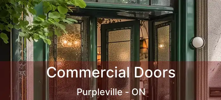  Commercial Doors Purpleville - ON