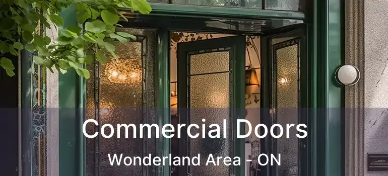  Commercial Doors Wonderland Area - ON