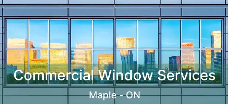  Commercial Window Services Maple - ON