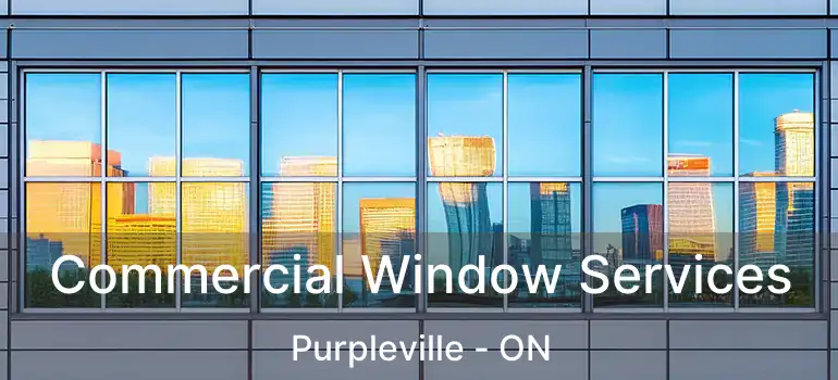  Commercial Window Services Purpleville - ON