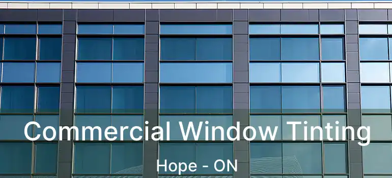  Commercial Window Tinting Hope - ON