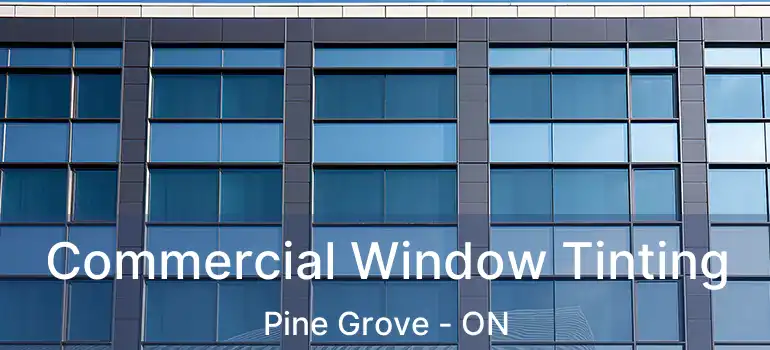Commercial Window Tinting Pine Grove - ON
