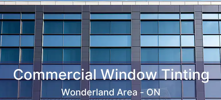Commercial Window Tinting Wonderland Area - ON