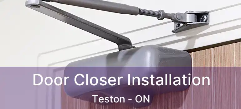 Door Closer Installation Teston - ON
