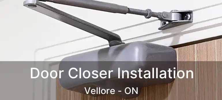  Door Closer Installation Vellore - ON