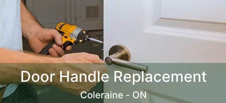 Door Handle Replacement Coleraine - ON
