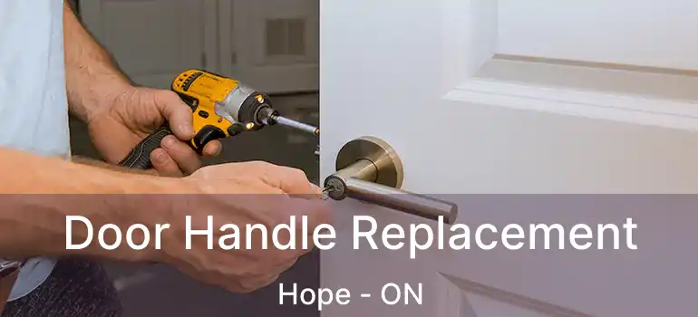  Door Handle Replacement Hope - ON
