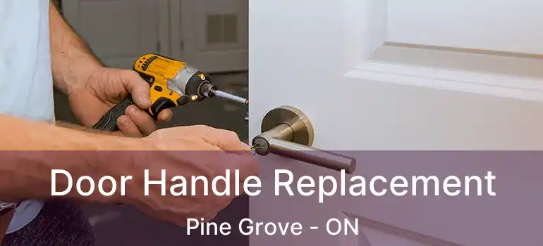  Door Handle Replacement Pine Grove - ON