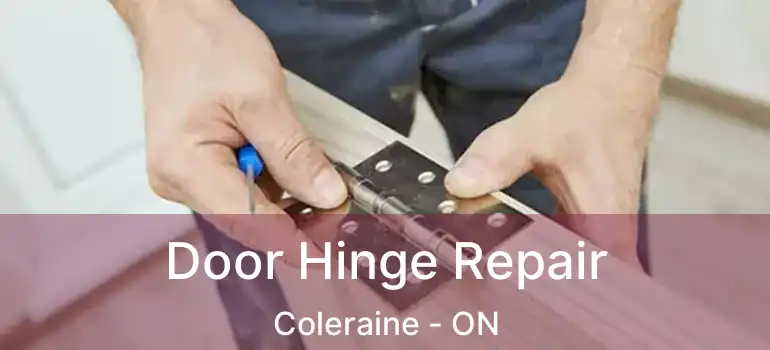 Door Hinge Repair Coleraine - ON