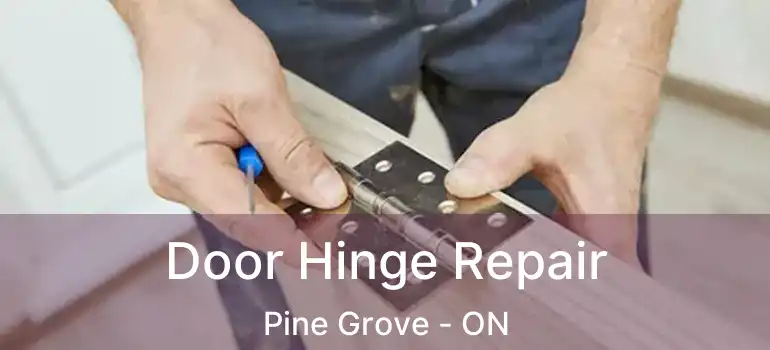 Door Hinge Repair Pine Grove - ON