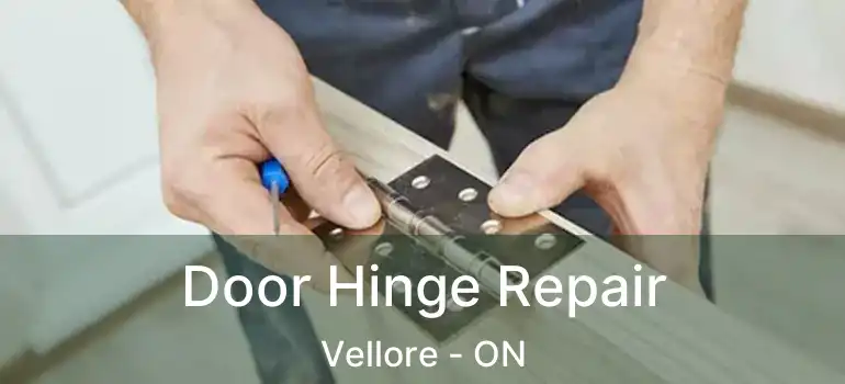  Door Hinge Repair Vellore - ON