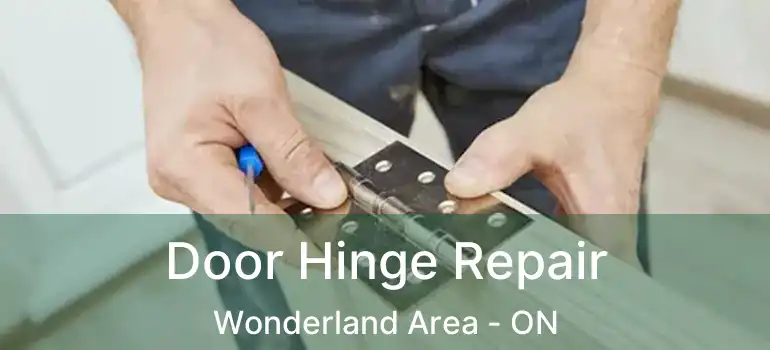  Door Hinge Repair Wonderland Area - ON