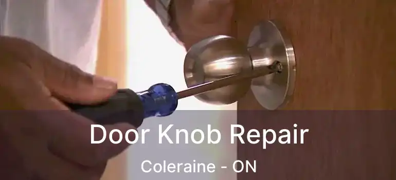  Door Knob Repair Coleraine - ON