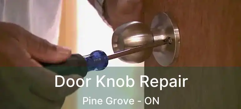  Door Knob Repair Pine Grove - ON