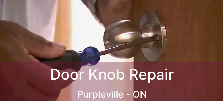  Door Knob Repair Purpleville - ON
