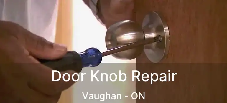 Door Knob Repair Vaughan - ON