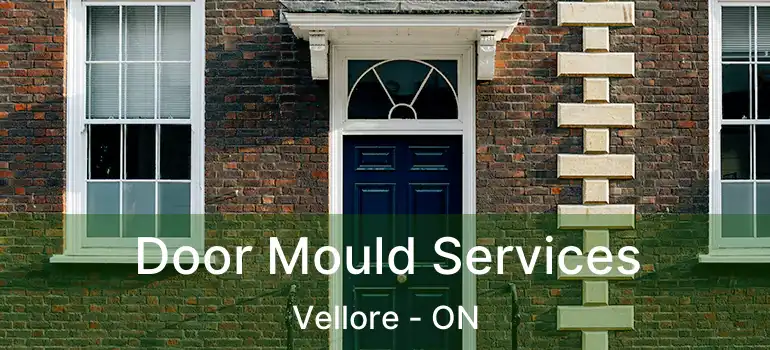  Door Mould Services Vellore - ON