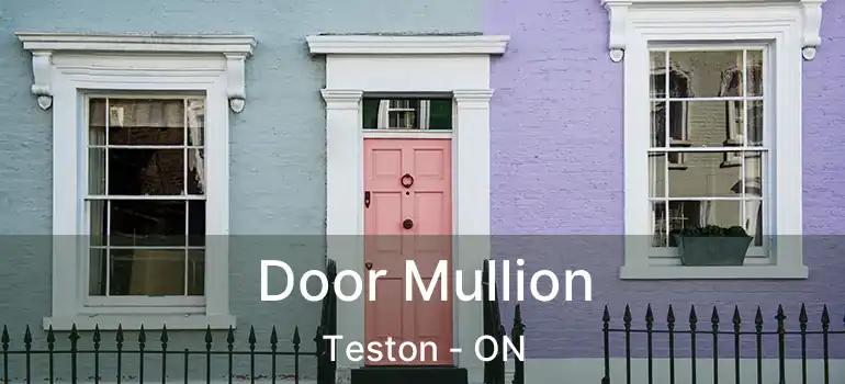  Door Mullion Teston - ON