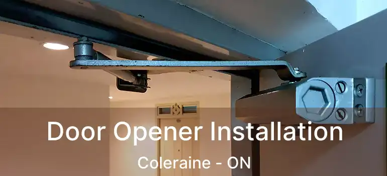 Door Opener Installation Coleraine - ON