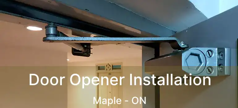  Door Opener Installation Maple - ON