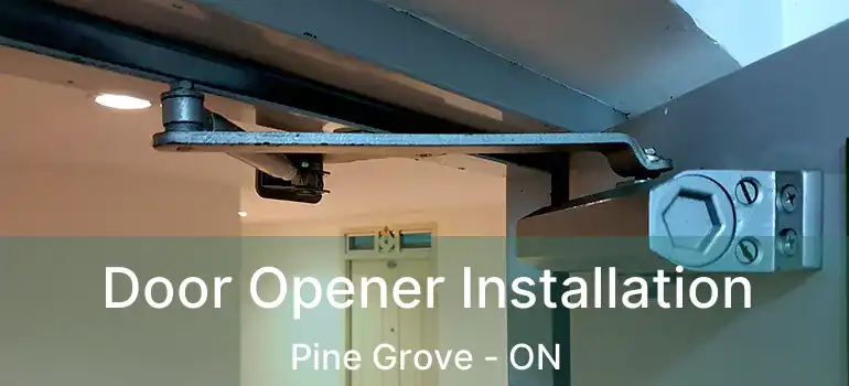 Door Opener Installation Pine Grove - ON