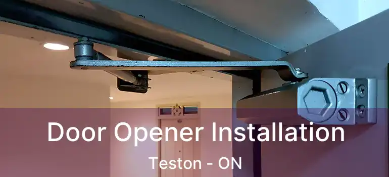 Door Opener Installation Teston - ON