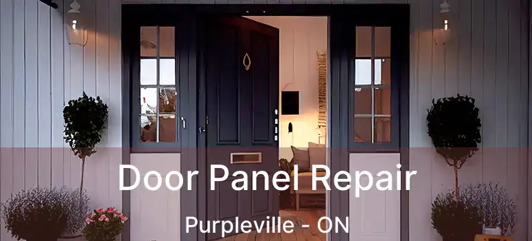  Door Panel Repair Purpleville - ON