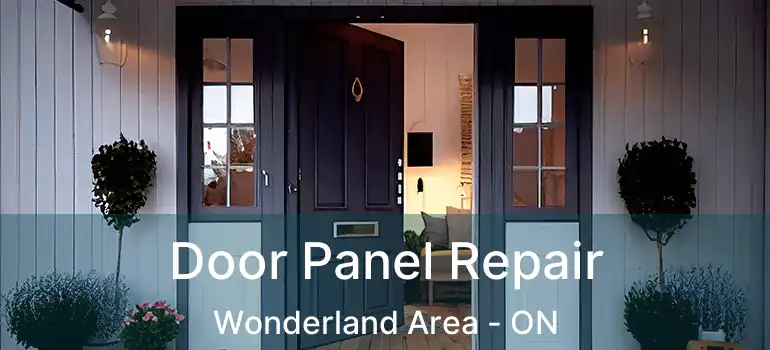 Door Panel Repair Wonderland Area - ON