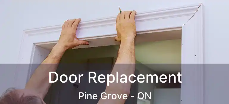  Door Replacement Pine Grove - ON