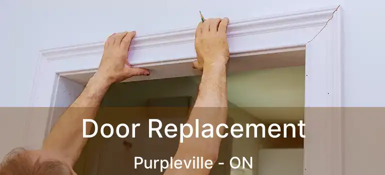  Door Replacement Purpleville - ON